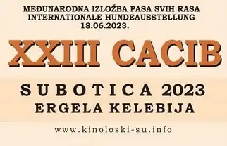 Izložba pasa Subotica 2023