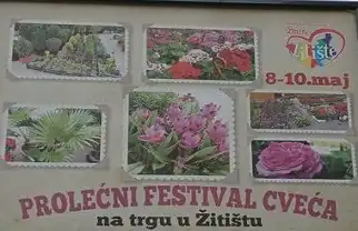 Prolećni festival cveća Žitište 2023