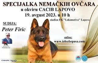 Izložba pasa Nemački ovčar Lapovo 2023