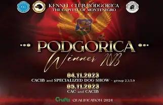 Izložba pasa Podgorica 2023