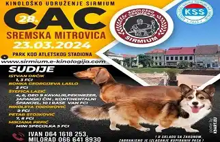 Izložba pasa Sremska Mitrovica 2024