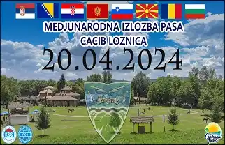 Izložba pasa Loznica 2024