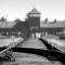Dan sećanja na žrtve holokausta, genocida i žrtava fašizma