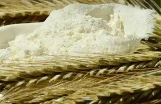 Cene stočnog brašna na pijacama april 2024