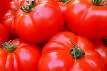 Cene paradajza na pijacama maj 2024