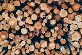 Cene drva na pijacama maj 2024