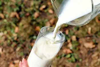 Cene mleka na pijacama jun 2024