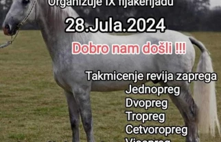 Fijakerijada Boževac 2024