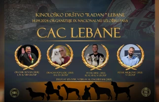 Izložba pasa Lebane