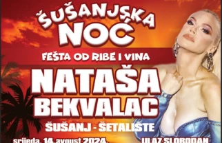 Šušanjska noć