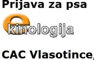 Izložba pasa Vlasotince 2024