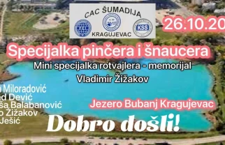 Izložba pasa Kragujevac