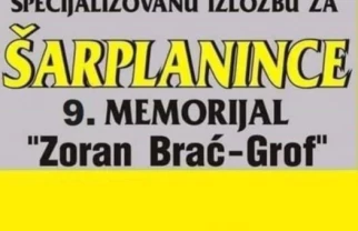 Izložba pasa šarplaninac Temerin