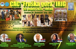 Izložba pasa noćna Irig 2025