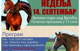 Konjički sabor Svilajnac 2025