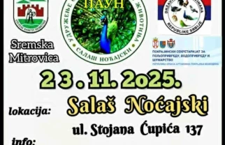 Izložba sitnih životinja Sremska Mitrovica