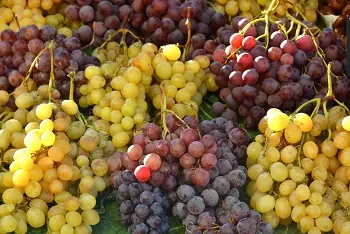 Cene grožđa na pijacama decembar 2025