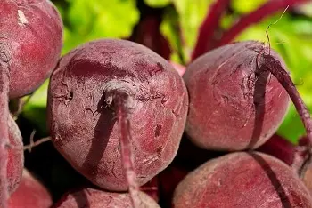 Cene cvekle na pijacama januar 2026