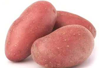 Cene krompira na pijacama januar 2026