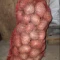 Crveni krompir