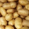 Krompir iz Brzeca