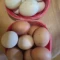 Kokošija jaja i pačija