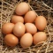 Domaca jaja