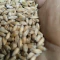 Pšenica i tritikal rod 2024