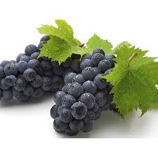 Cene i oglasi na pijacama