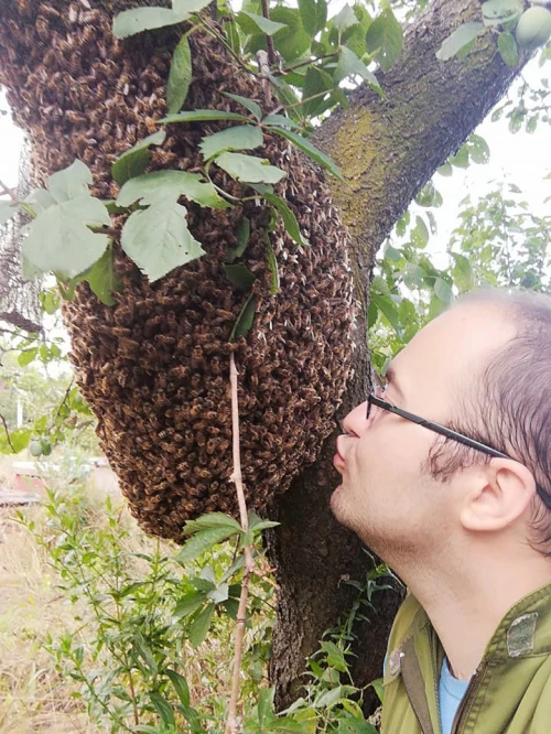 Cene i oglasi na pijacama