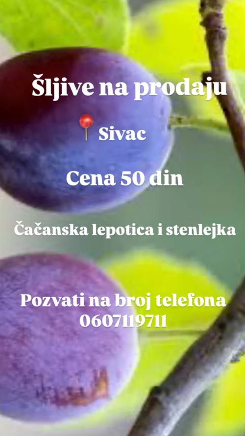 Cene i oglasi na pijacama