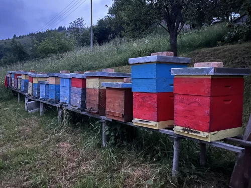 Cene i oglasi na pijacama