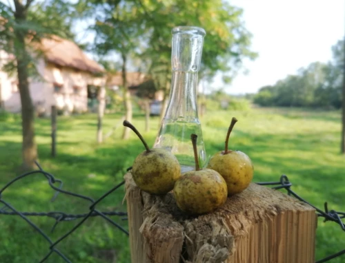 Cene i oglasi na pijacama