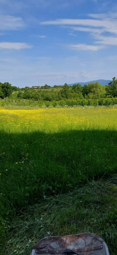 Cene i oglasi na pijacama