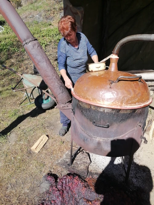 Cene i oglasi na pijacama