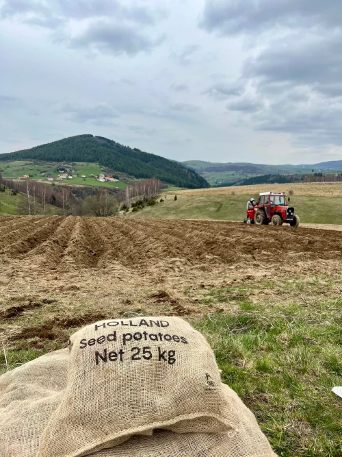 Cene i oglasi na pijacama