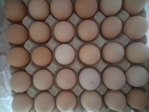 Cene i oglasi na pijacama