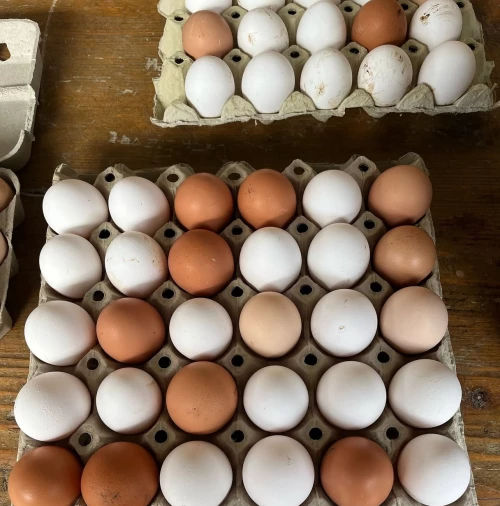 Cene i oglasi na pijacama