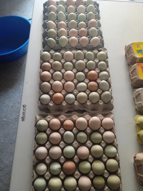 Cene i oglasi na pijacama