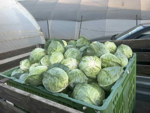 Cene i oglasi na pijacama