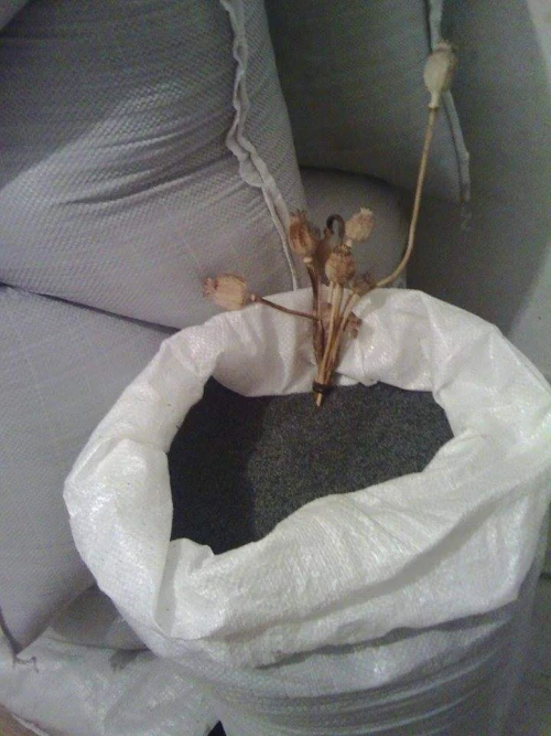 Cene i oglasi na pijacama