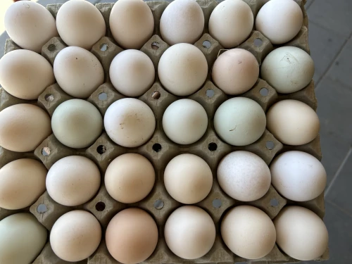 Cene i oglasi na pijacama