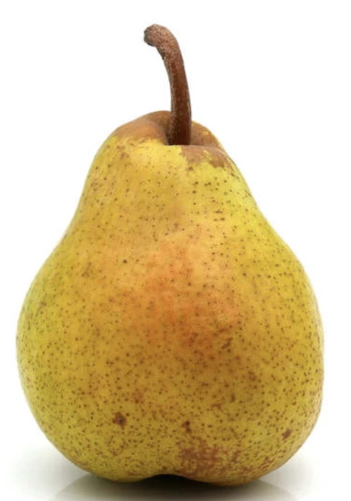 Cene i oglasi na pijacama