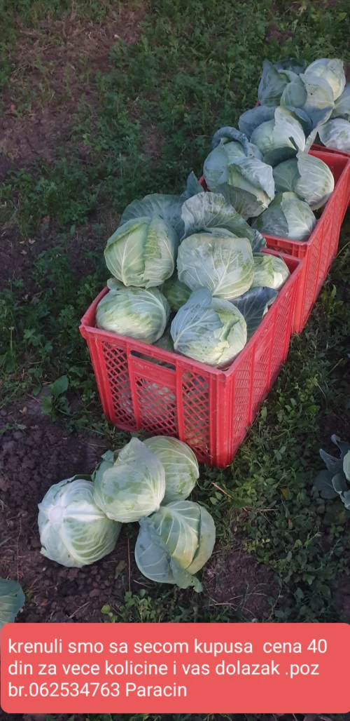 Cene i oglasi na pijacama