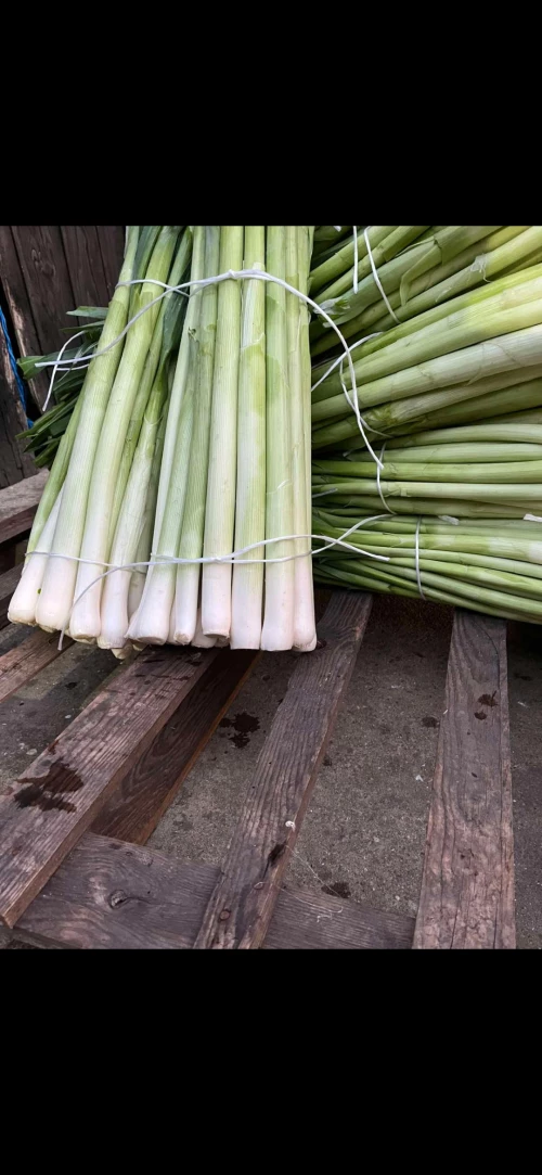 Cene i oglasi na pijacama