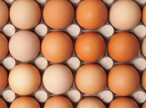 Cene i oglasi na pijacama