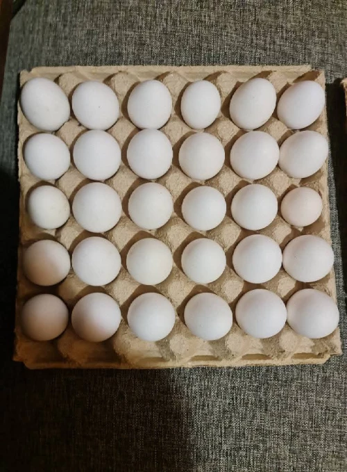 Cene i oglasi na pijacama