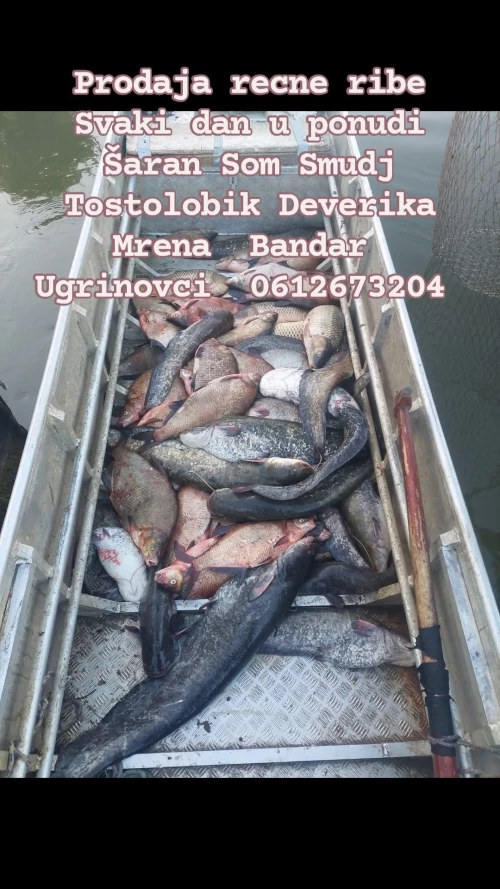 Cene i oglasi na pijacama