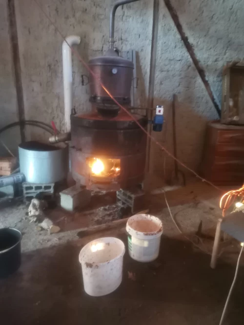 Cene i oglasi na pijacama