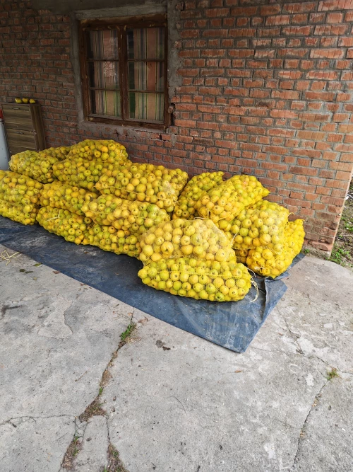 Cene i oglasi na pijacama